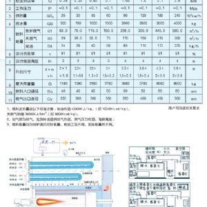 ZK-G真空熱水鍋爐