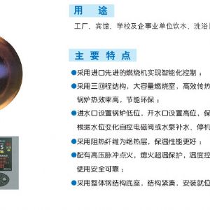 LHS-G立式燃?xì)猓ㄓ停╅_(kāi)水鍋爐