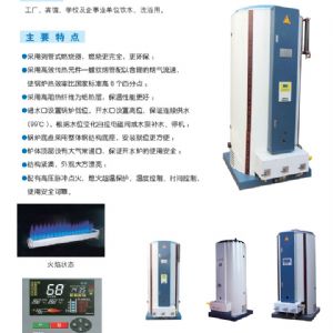 LHS-D立式燃?xì)忾_水鍋爐